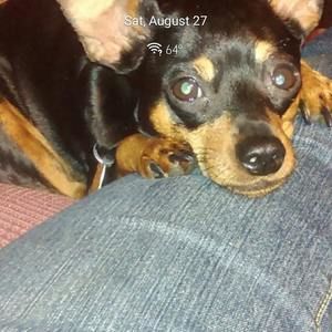 Meet your Posher, Walter